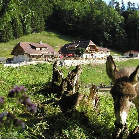 Ferienwohnung Hochsteinalm Traunkirchen Eksteriør bilde
