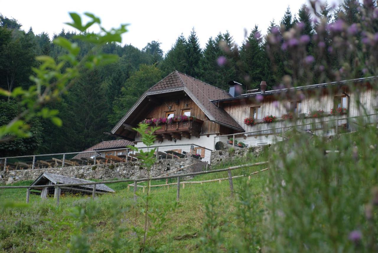 Ferienwohnung Hochsteinalm Traunkirchen Eksteriør bilde