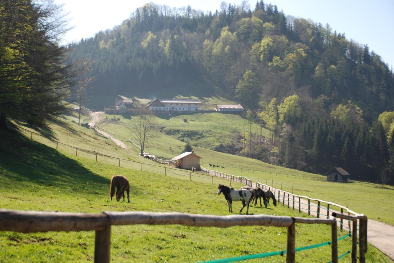 Ferienwohnung Hochsteinalm Traunkirchen Eksteriør bilde